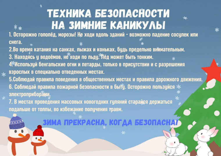 Безопасность на зимних каникулах.